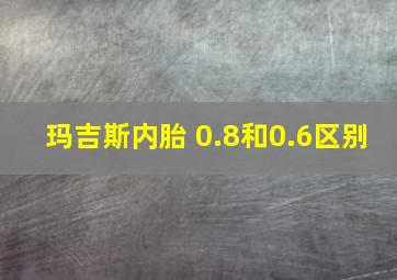 玛吉斯内胎 0.8和0.6区别